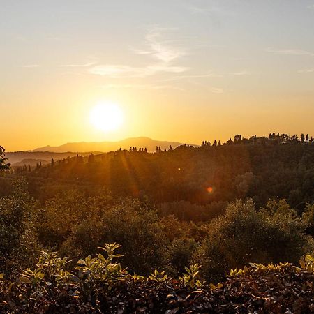 Collebrunacchi B&B San Miniato Exterior photo